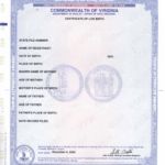 Virginia Birth Certificate Apostille, Apostille for Virginia Birth Certificate, Virginia Birth Certificate Authentication, Apostille Service Virginia, Virginia Birth Certificate Legalization, Virginia Apostille for Birth Certificate, Birth Certificate Apostille Virginia, How to Apostille Virginia Birth Certificate, Virginia Birth Certificate Apostille for International Use, Virginia Apostille Services for Vital Records.